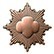 bronze Bronze Award Pin