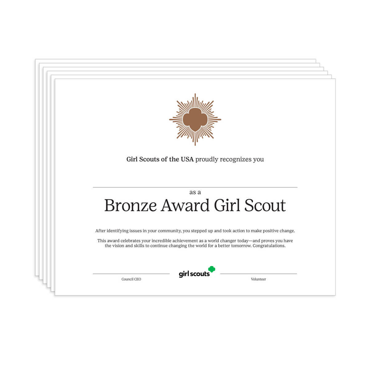 Bronze Award Certificate