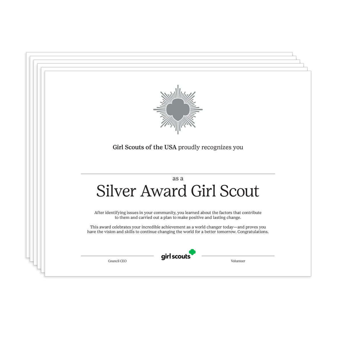 Silver Award Certificate