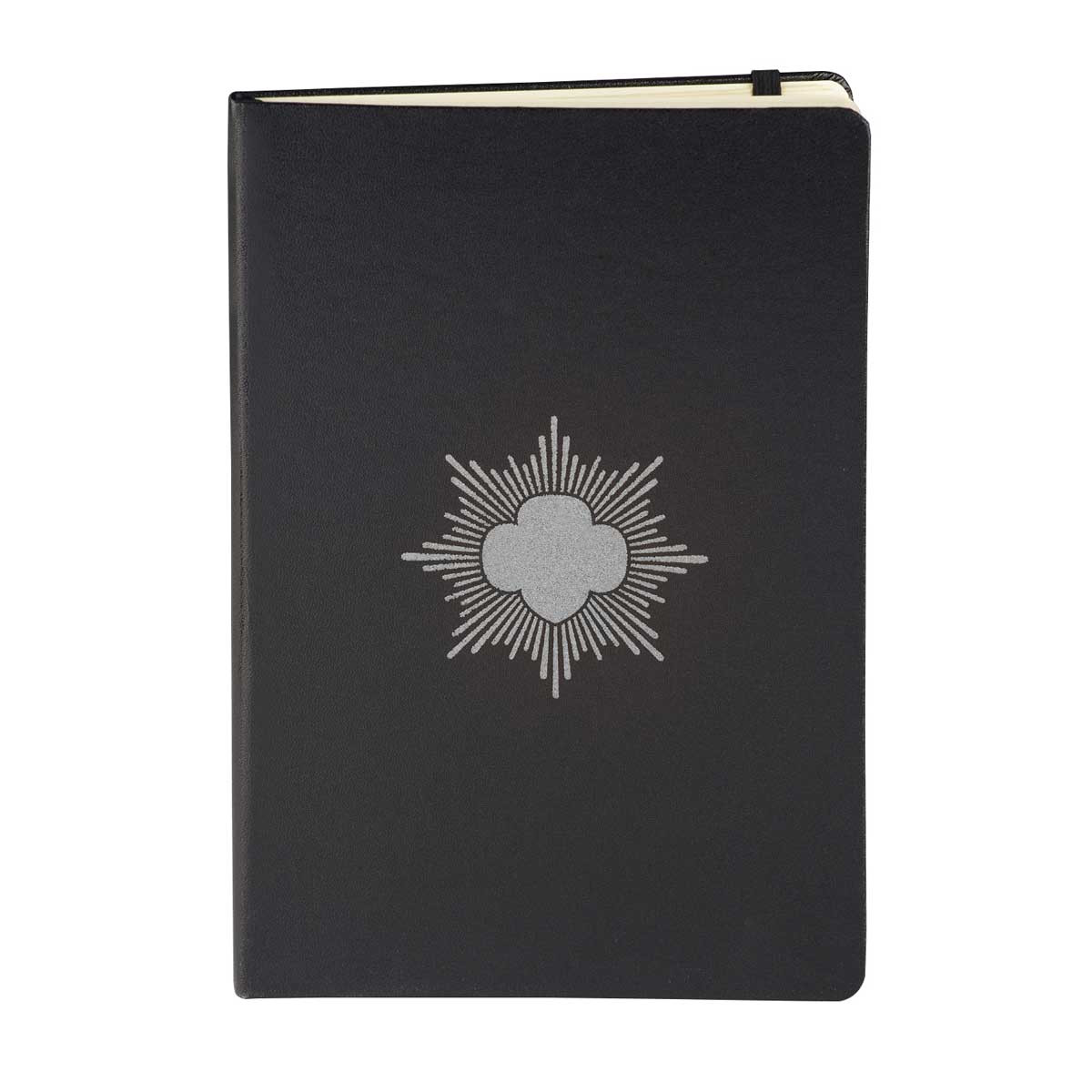 Silver Award Journal