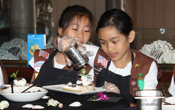 New Girl Scout Badges