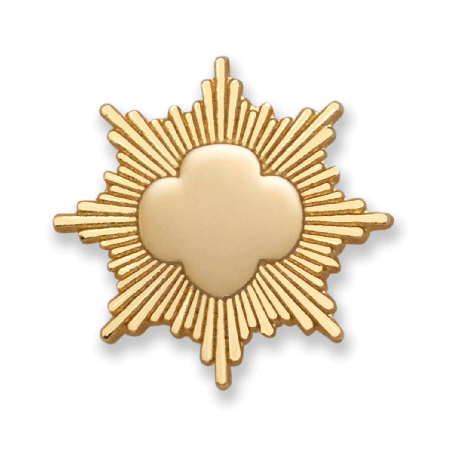 Shop Girl Scout Gold Award